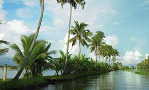 4 nights 5 days kerala package