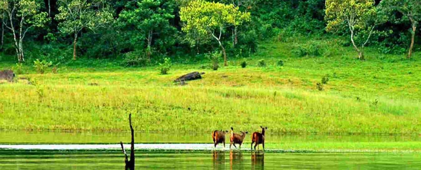 7 days kerala package