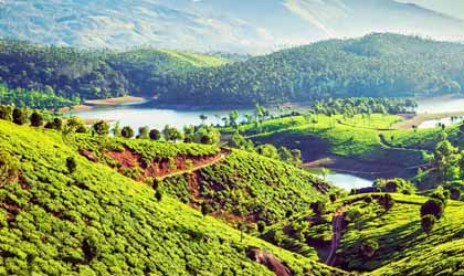 munnar