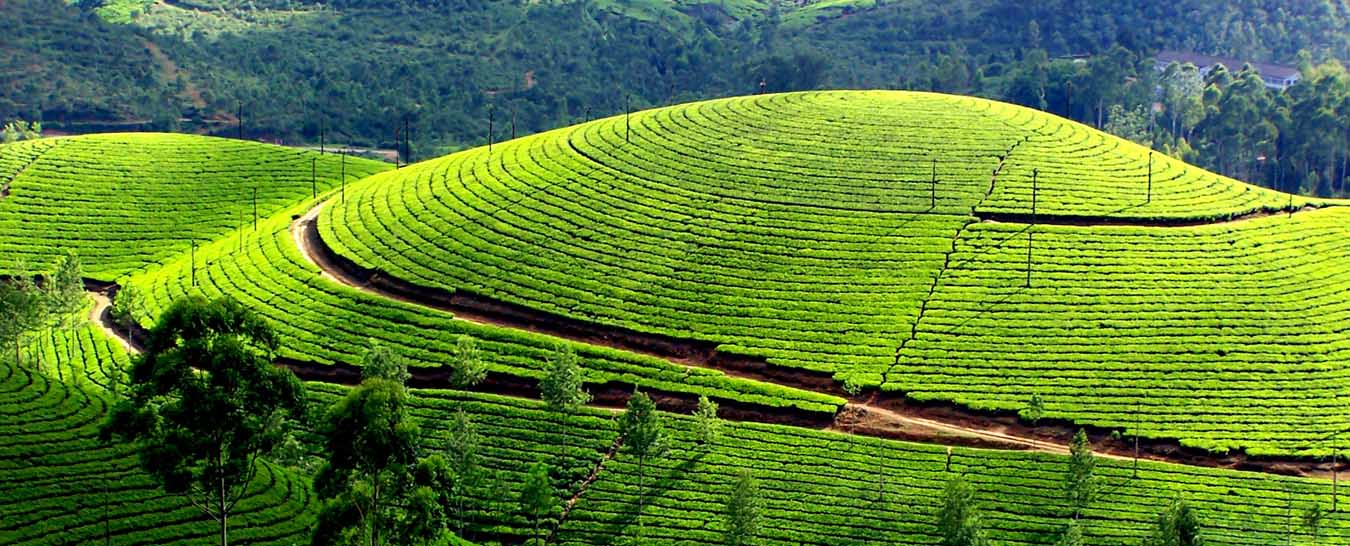 munnar